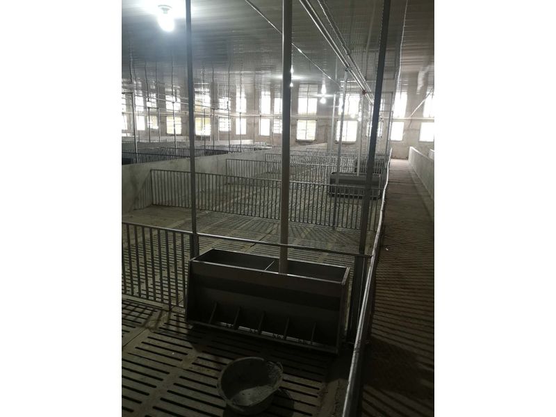 猪场自动供料系统 